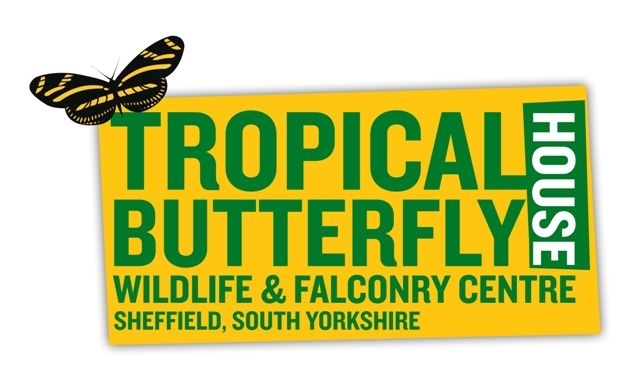 tropical butterfly house sheffield, yellow and green logo with butterfly motif