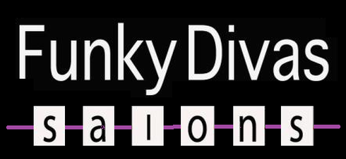 Funky Divas Salon Rectangle Logo