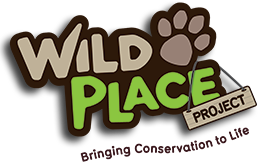 wild place project logo