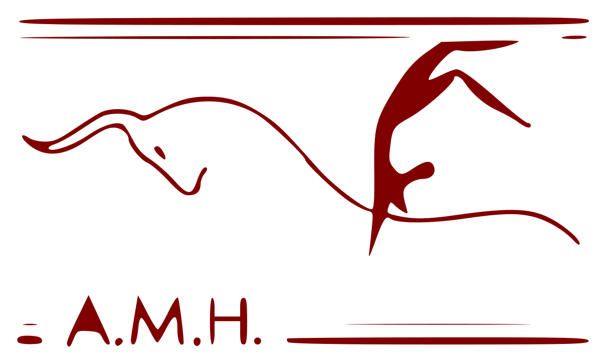 Heraklion Archaeological Museum logo